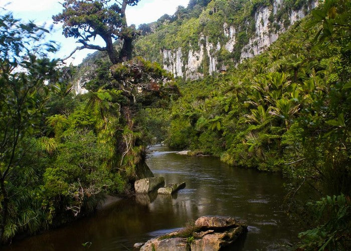 Ultimate South Island 12 day