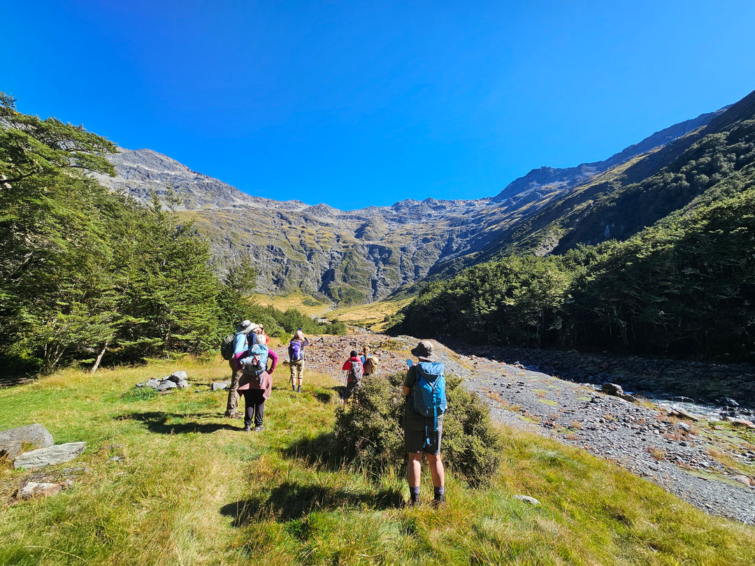 Ultimate South Island 12 day