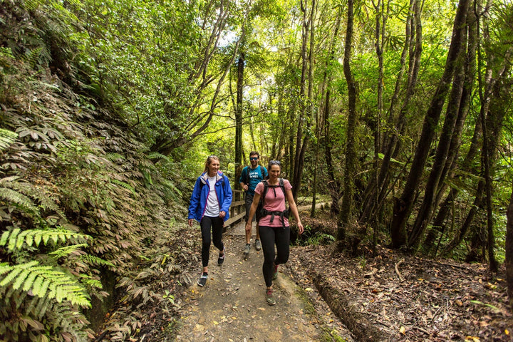 Essential South Island 7-Day