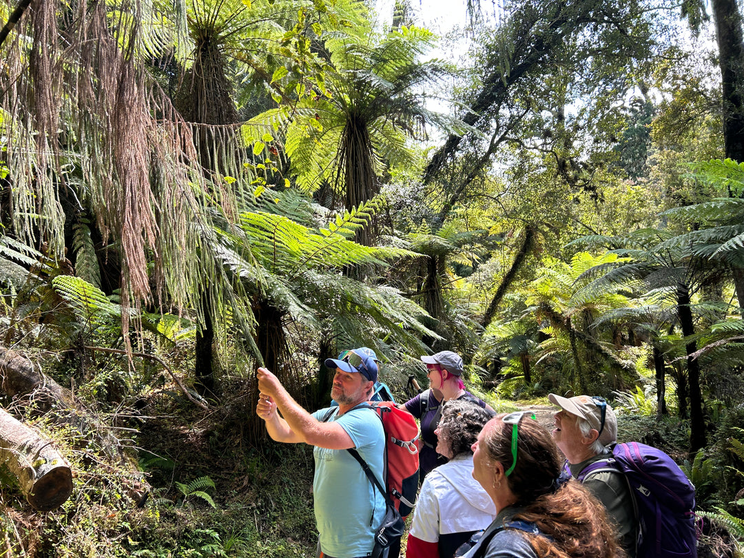Ultimate South Island 12 day