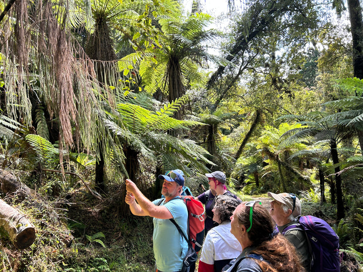 Ultimate South Island 12 day