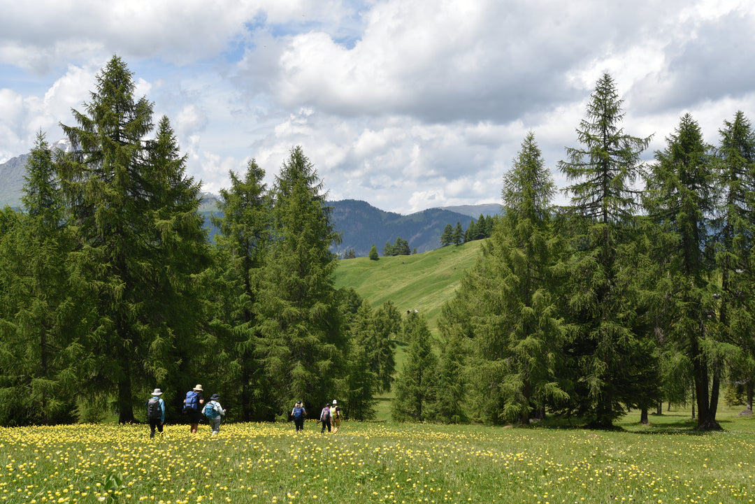 Dolomites Hiking Adventure 8 Day