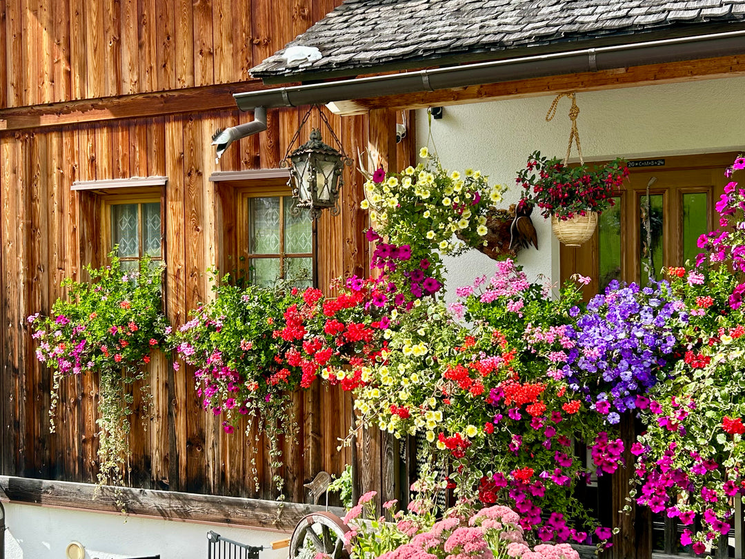 Dolomites Hiking Adventure 8 Day