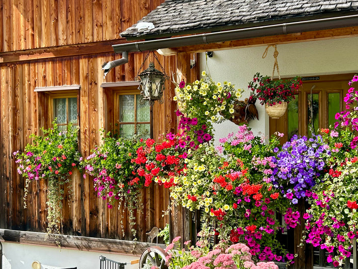 Dolomites Hiking Adventure 8 Day