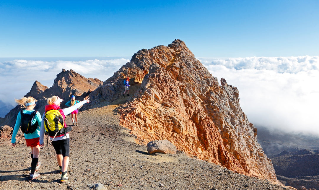 North Island New Zealand