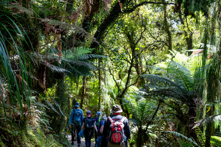 Ultimate South Island 12 day